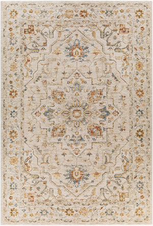 Livabliss Reina Traditional Fringe Area Rug with High Low Texture for Large Living Rooms Light Gray, Med 6'7" x 9'6" REN2303-6796