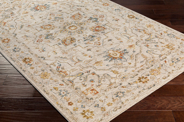 Livabliss Reina Traditional Fringe Area Rug with High Low Texture for Large Living Rooms Light Gray, Med 2'7" x 10' REN2303-2710