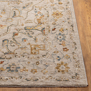 Livabliss Reina Traditional Fringe Area Rug with High Low Texture for Large Living Rooms Light Gray, Med 2'7" x 10' REN2303-2710