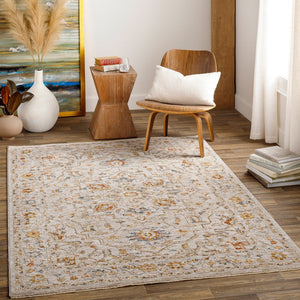 Livabliss Reina Traditional Fringe Area Rug with High Low Texture for Large Living Rooms Light Gray, Med 2'7" x 3'11" REN2303-274