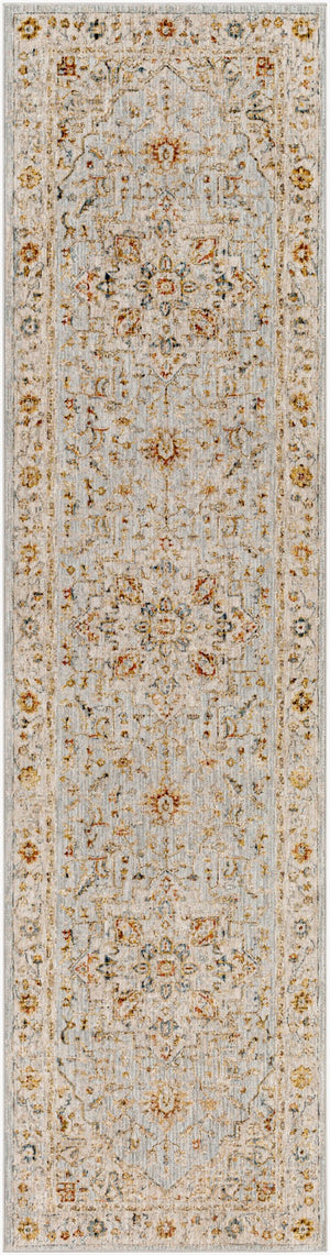 Livabliss Reina Traditional Medallion Area Rug Turkey Woven Polyester Medium Pile Fringe Trim Light Gray, Cre 2'7" x 10' REN2304-2710