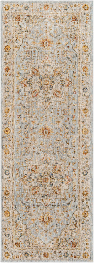 Livabliss Reina Traditional Medallion Area Rug Turkey Woven Polyester Medium Pile Fringe Trim Light Gray, Cre 2'7" x 7'3" REN2304-2773