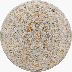 Livabliss Reina Traditional Medallion Area Rug Turkey Woven Polyester Medium Pile Fringe Trim Light Gray, Cre 5'3" x 5'3" REN2304-53RD