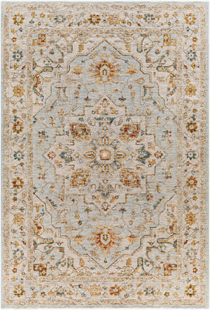 Livabliss Reina Traditional Medallion Area Rug Turkey Woven Polyester Medium Pile Fringe Trim Light Gray, Cre 6'7" x 9'6" REN2304-6796