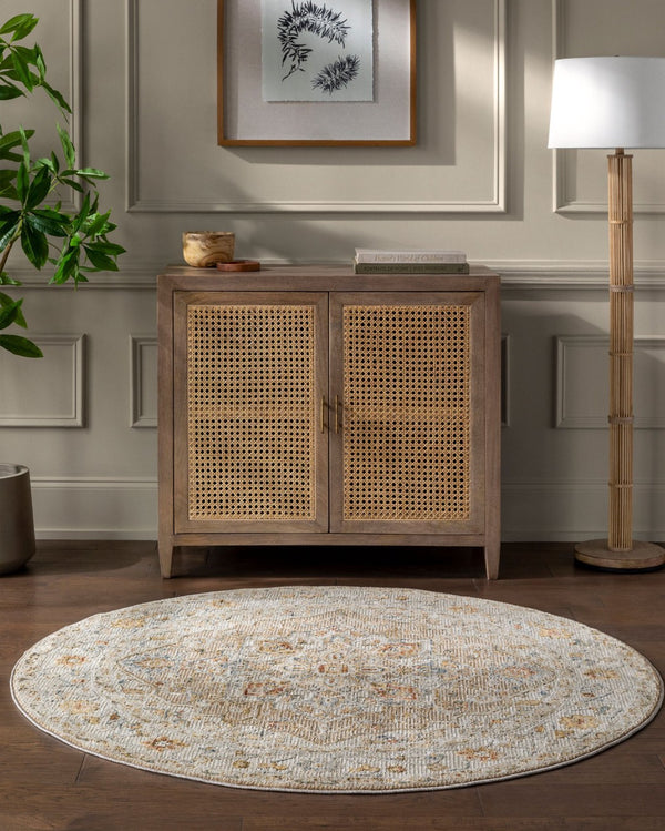 Livabliss Reina Traditional Area Rug with High Low Pile Fringe Detail for Formal Living Rooms Tan, Light Gray 5'3" x 5'3" REN2305-53RD