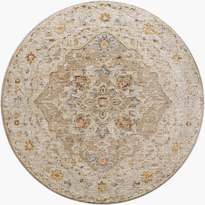 Livabliss Reina Traditional Area Rug with High Low Pile Fringe Detail for Formal Living Rooms Tan, Light Gray 5'3" x 5'3" REN2305-53RD