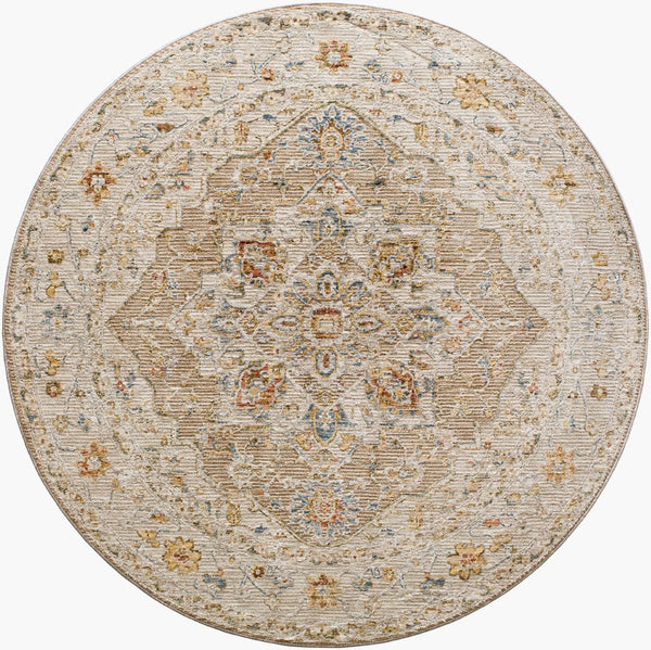 Livabliss Reina Traditional Area Rug with High Low Pile Fringe Detail for Formal Living Rooms Tan, Light Gray 5'3" x 5'3" REN2305-53RD