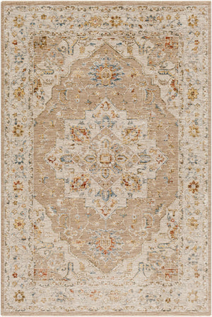 Livabliss Reina Traditional Area Rug with High Low Pile Fringe Detail for Formal Living Rooms Tan, Light Gray 10' x 13'11" REN2305-1014