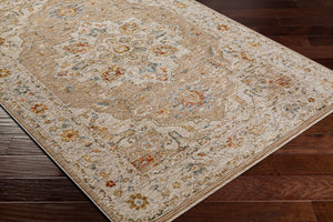 Livabliss Reina Traditional Area Rug with High Low Pile Fringe Detail for Formal Living Rooms Tan, Light Gray 5'3" x 5'3" REN2305-53RD