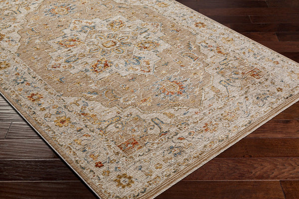 Livabliss Reina Traditional Area Rug with High Low Pile Fringe Detail for Formal Living Rooms Tan, Light Gray 5'3" x 5'3" REN2305-53RD