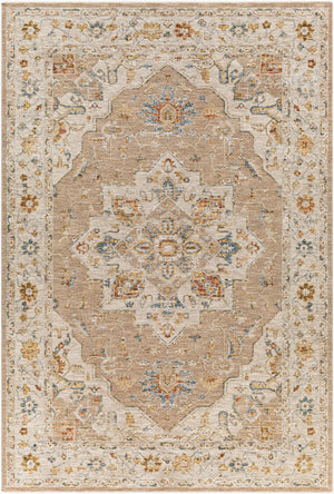 Livabliss Reina Traditional Area Rug with High Low Pile Fringe Detail for Formal Living Rooms Tan, Light Gray 6'7" x 9'6" REN2305-6796