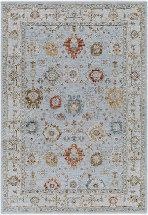 Livabliss Reina Traditional Polyester Area Rug with High Low Pile and Fringe for Formal Living Rooms Light Gray, Cre 2'7" x 3'11" REN2306-274