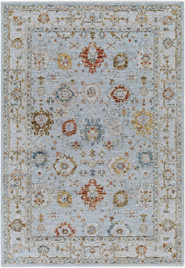 Livabliss Reina Traditional Polyester Area Rug with High Low Pile and Fringe for Formal Living Rooms Light Gray, Cre 2'7" x 3'11" REN2306-274