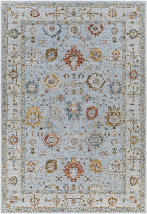 Livabliss Reina Traditional Polyester Area Rug with High Low Pile and Fringe for Formal Living Rooms Light Gray, Cre 6'7" x 9'6" REN2306-6796