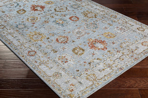 Livabliss Reina Traditional Polyester Area Rug with High Low Pile and Fringe for Formal Living Rooms Light Gray, Cre 2'7" x 3'11" REN2306-274