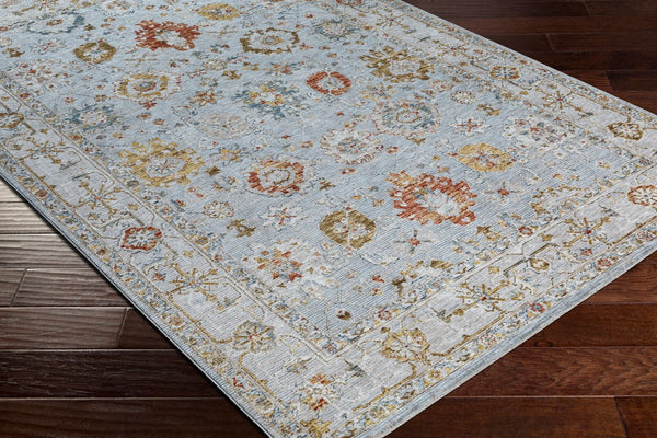Livabliss Reina Traditional Polyester Area Rug with High Low Pile and Fringe for Formal Living Rooms Light Gray, Cre 2'7" x 3'11" REN2306-274