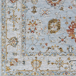 Livabliss Reina Traditional Polyester Area Rug with High Low Pile and Fringe for Formal Living Rooms Light Gray, Cre 2'7" x 3'11" REN2306-274