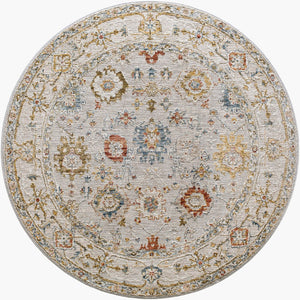 Livabliss Reina Traditional Polyester Area Rug with High Low Pile and Fringe for Formal Dining Light Gray, Cre 5'3" x 5'3" REN2307-53RD