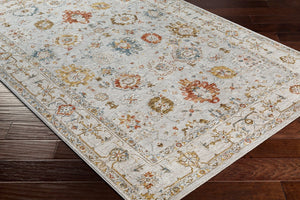 Livabliss Reina Traditional Polyester Area Rug with High Low Pile and Fringe for Formal Dining Light Gray, Cre 10' x 13'11" REN2307-1014