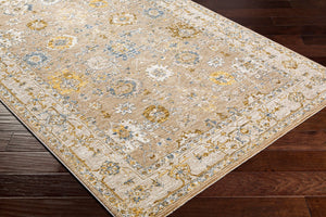 Livabliss Reina Traditional Fringe Area Rug Machine Woven Polyester for Large Living Spaces Tan, Light Brow 5'3" x 5'3" REN2308-53RD