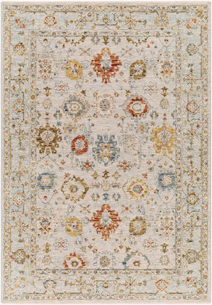 Livabliss Reina Traditional Fringe Area Rug Ornate Polyester Weave for Living Room Dining Light Gray, Cre 10' x 13'11" REN2309-1014