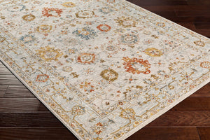Livabliss Reina Traditional Fringe Area Rug Ornate Polyester Weave for Living Room Dining Light Gray, Cre 2'7" x 7'3" REN2309-2773