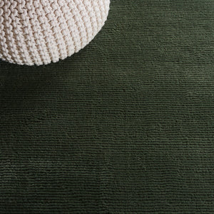 Safavieh Revive 102 REV102 Power Loomed Solid & Tonal Rug Green REV102Y-210