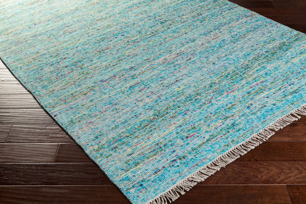 Surya Rex 2' X 3' Handmade Viscose & Wool Area Rug – Modern Style, Soft Touch, Easy Care, Made In India Aqua Viscose,Wool Rex4002-912