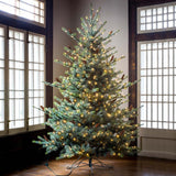 Park Hill Blue Spruce Christmas Tree, 7.5' Clear and Multi Lights XPQ82169 Park Hill