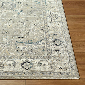 Livabliss Reflection Traditional Fringe Area Rug Machine Woven Polyester for Living Room Ivory, Medium G 12' x 15' RFL2302-1215