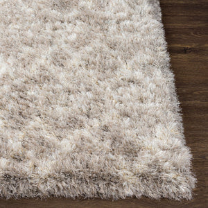 Livabliss Rhapsody Moroccan Geometric Wool Blend Area Rug Belgium Woven Accent for Entryways RHA1032-23