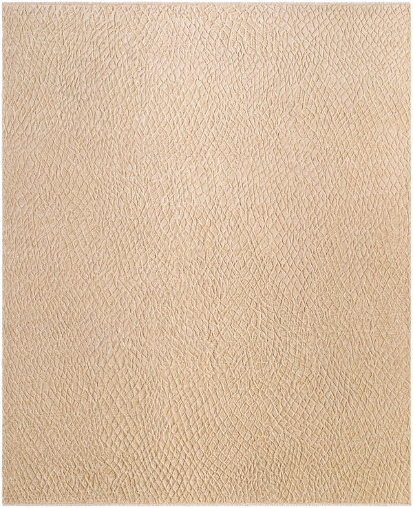 Surya Reyyan Handmade Rug RHE-2300