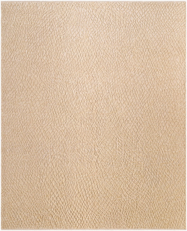 Surya Reyyan 10' X 14' Handmade Wool & Viscose Rug - Unique, Durable, With Fringe Detail For Any Room Beige Wool,Viscose Rhe2300-23