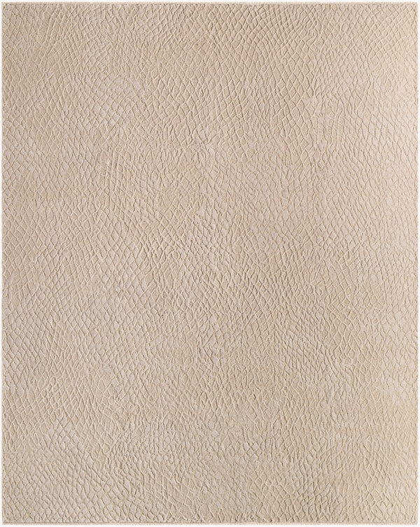 Surya Reyyan 10' X 14' Handmade Wool & Viscose Rug - Unique, Durable, With Fringe Detail For Any Room Beige Wool,Viscose Rhe2302-810