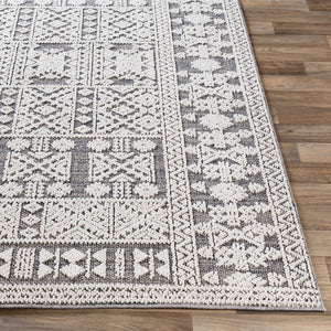 Livabliss Ariana Global Patterned Polypropylene Accent Rug with High Low Pile Texture White, Gray 8'10" x 12' RIA2305-81012