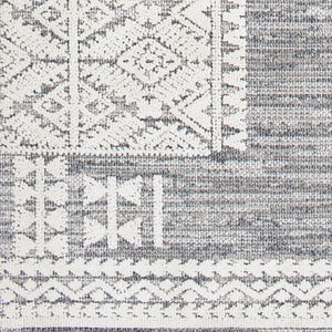 Livabliss Ariana Global Inspired Polypropylene Accent Rug with High Low Pile for Entryways Gray, Black 2' x 2'11" RIA2306-23