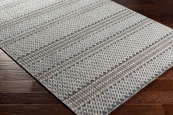 Livabliss Ariana Traditional Polypropylene Accent Rug Turkish Woven for Entryway or Bedroom RIA2308-23