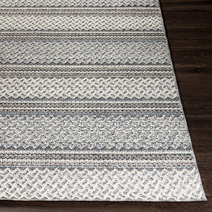 Livabliss Ariana Traditional Polypropylene Accent Rug Turkish Woven for Entryway or Bedroom RIA2308-23
