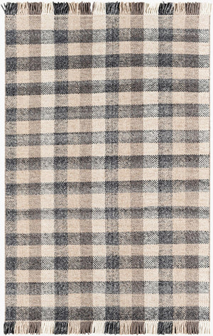 Livabliss Reliance Wool Flatweave Area Rug Handwoven Cottage Style with Fringe Accent India Craft Charcoal, Mediu 8'10" x 12' RLI2308-81012