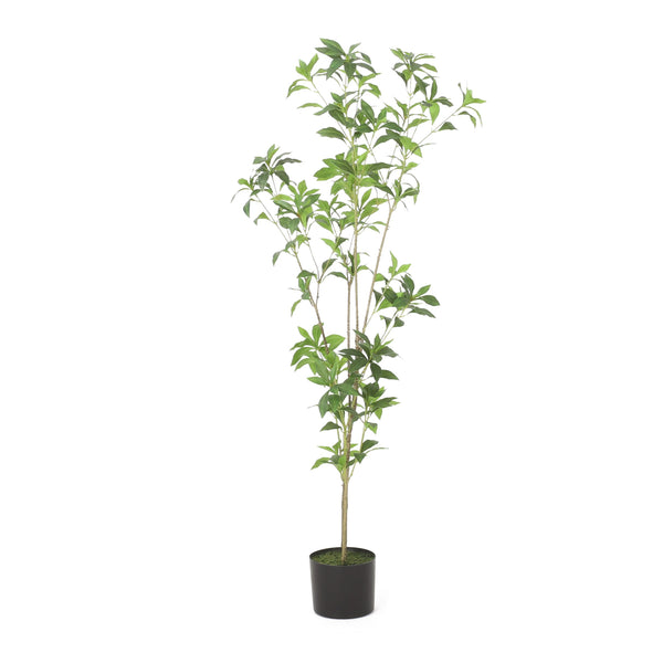 English Elm 120cmartificial Pieris Tree Lifelike Faux Botanical Floor Plant for Living Room Corners 74341.00