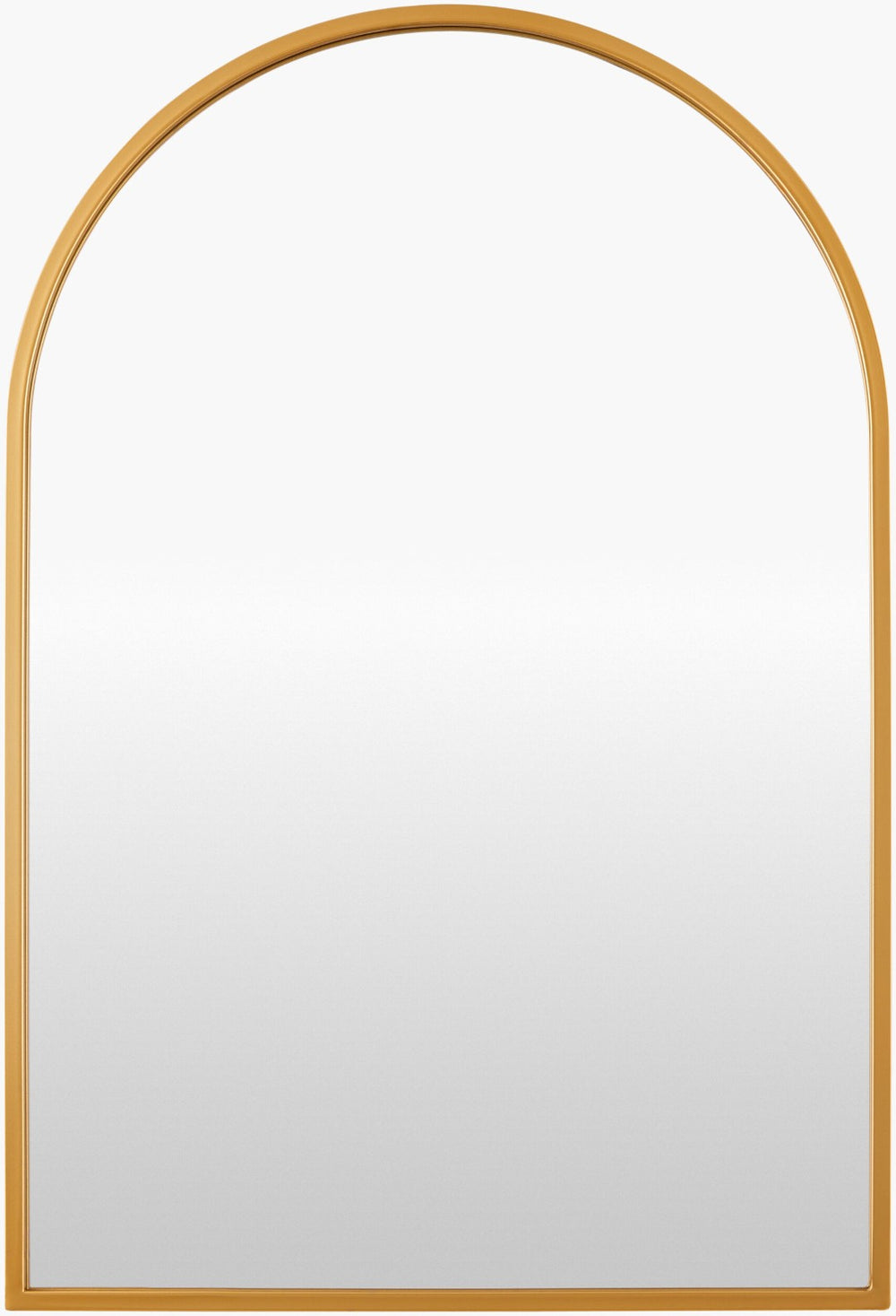 Livabliss Carmen Frameless Accent Mirror Sleek Minimalist Design for Hallway or Bedroom Wall Gold 30"H x 20"W x 1"D RME005-3020