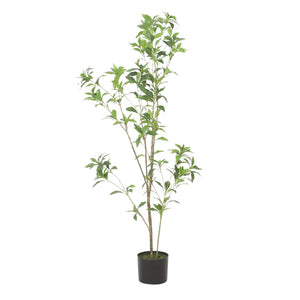 English Elm 120cmartificial Pieris Tree Lifelike Faux Botanical Floor Plant for Living Room Corners 74341.00