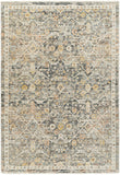 Rojin ROJ-2301 9' x 13'1" Machine Woven Rug ROJ2301-9127 Livabliss Surya