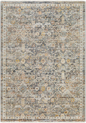 Rojin ROJ-2301 5'3" x 7'10" Machine Woven Rug ROJ2301-5377 Livabliss Surya