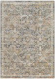 Rojin ROJ-2301 5'3" x 7'10" Machine Woven Rug ROJ2301-5377 Livabliss Surya