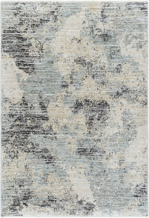 Livabliss Rojin Turkish Polypropylene Runner Rug Machine Woven for Hallway and Entryway Use Gray, Light Blu 9' x 13'1" ROJ2302-9127