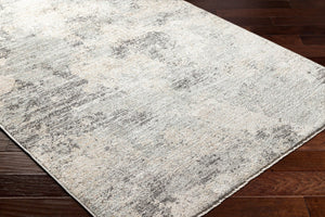 Livabliss Rojin Turkish Polypropylene Runner Rug Machine Woven for Hallway and Entryway Use Gray, Light Blu 9' x 13'1" ROJ2302-9127