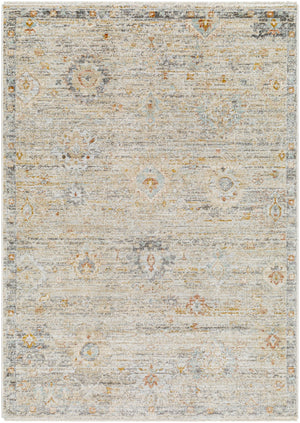 Rojin ROJ-2303 5'3" x 7'10" Machine Woven Rug ROJ2303-5377 Livabliss Surya