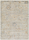 Rojin ROJ-2303 5'3" x 7'10" Machine Woven Rug ROJ2303-5377 Livabliss Surya