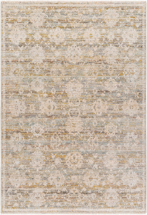 Livabliss Rojin Traditional Fringe Area Rug Polypropylene Woven for Large Living Spaces ROJ2304-9127